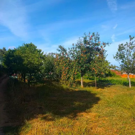 Porto Countryside House Venkovský dům Aguiar de Sousa
